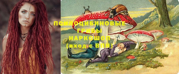 прущая мука Инсар