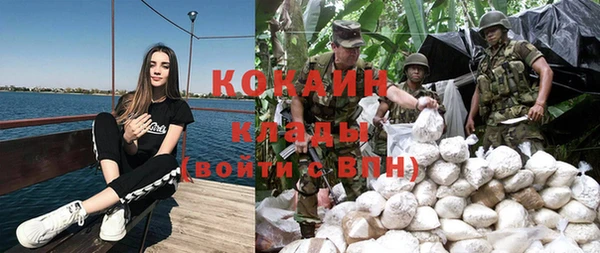 прущие крисы Инта