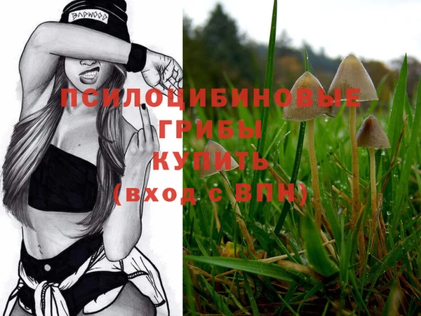 прущая мука Инсар