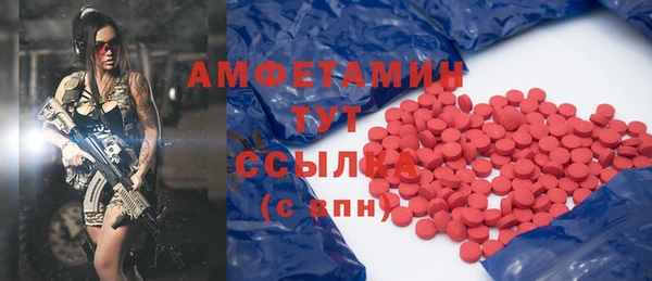 прущие крисы Инта
