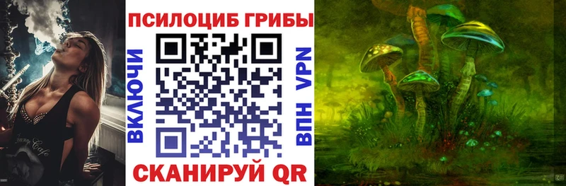 хочу наркоту  Касли  Галлюциногенные грибы мухоморы 