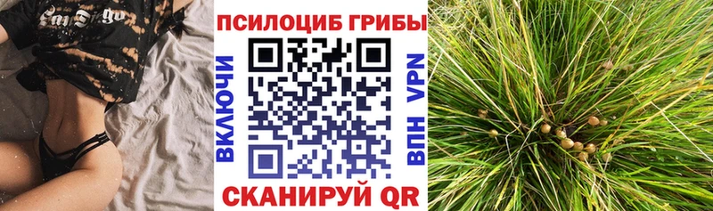 Псилоцибиновые грибы мицелий Касли
